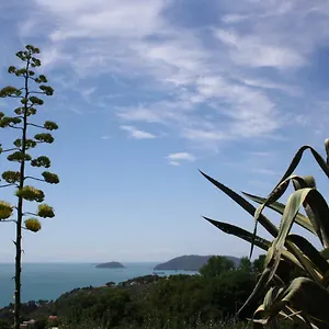 Agave Di Lerici
